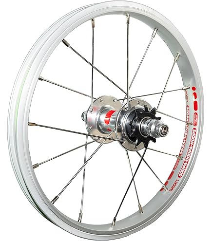 Amazon.com : Shimano Nexus SG-C6001-8V 8-Speed Internal Hub for