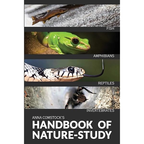 洋書 Larval Fish Nutrition G.Joan Holt Larval Fish Nutrition: Holt, G. Joan: 9780813817927: Amazon.com: Books