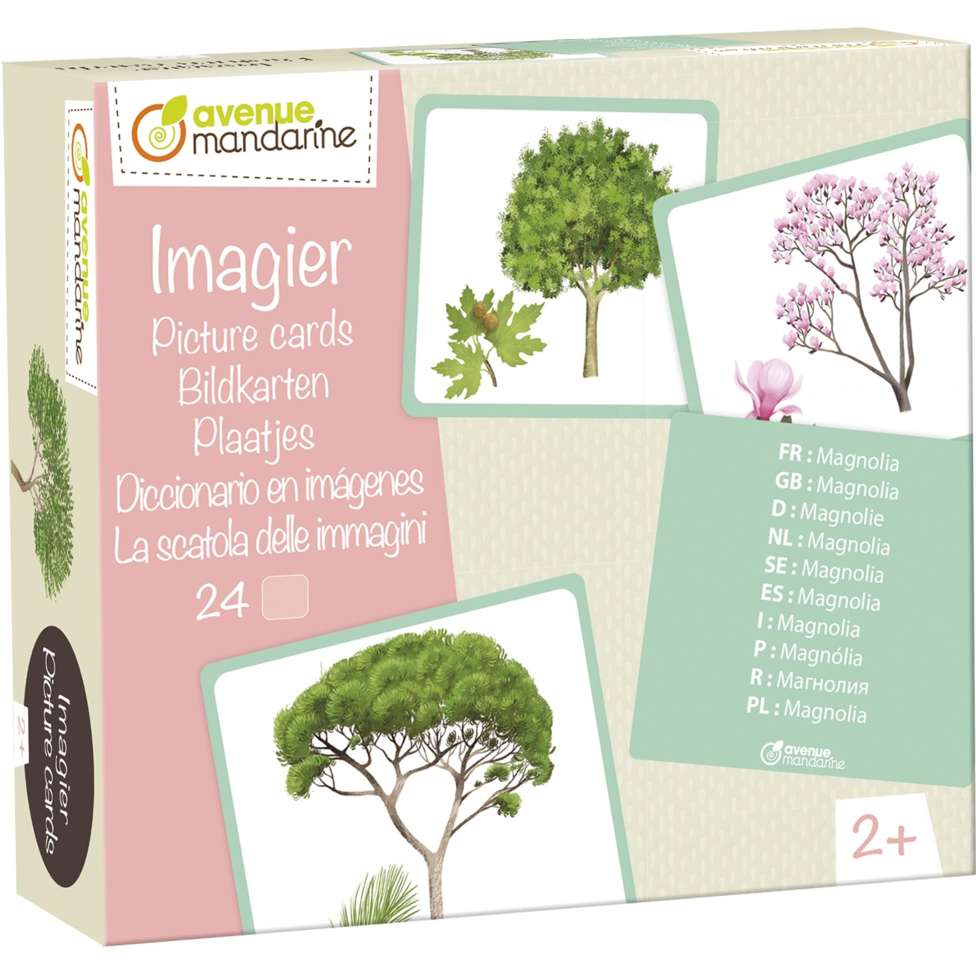 Avenue Mandarine - Ref JE525C - Multilingual Picture Cards - Tree Designs - Features 10 European Languages, 24 Beautiful Illustrations, Create Your Own Game, Suitable for Ages 2+