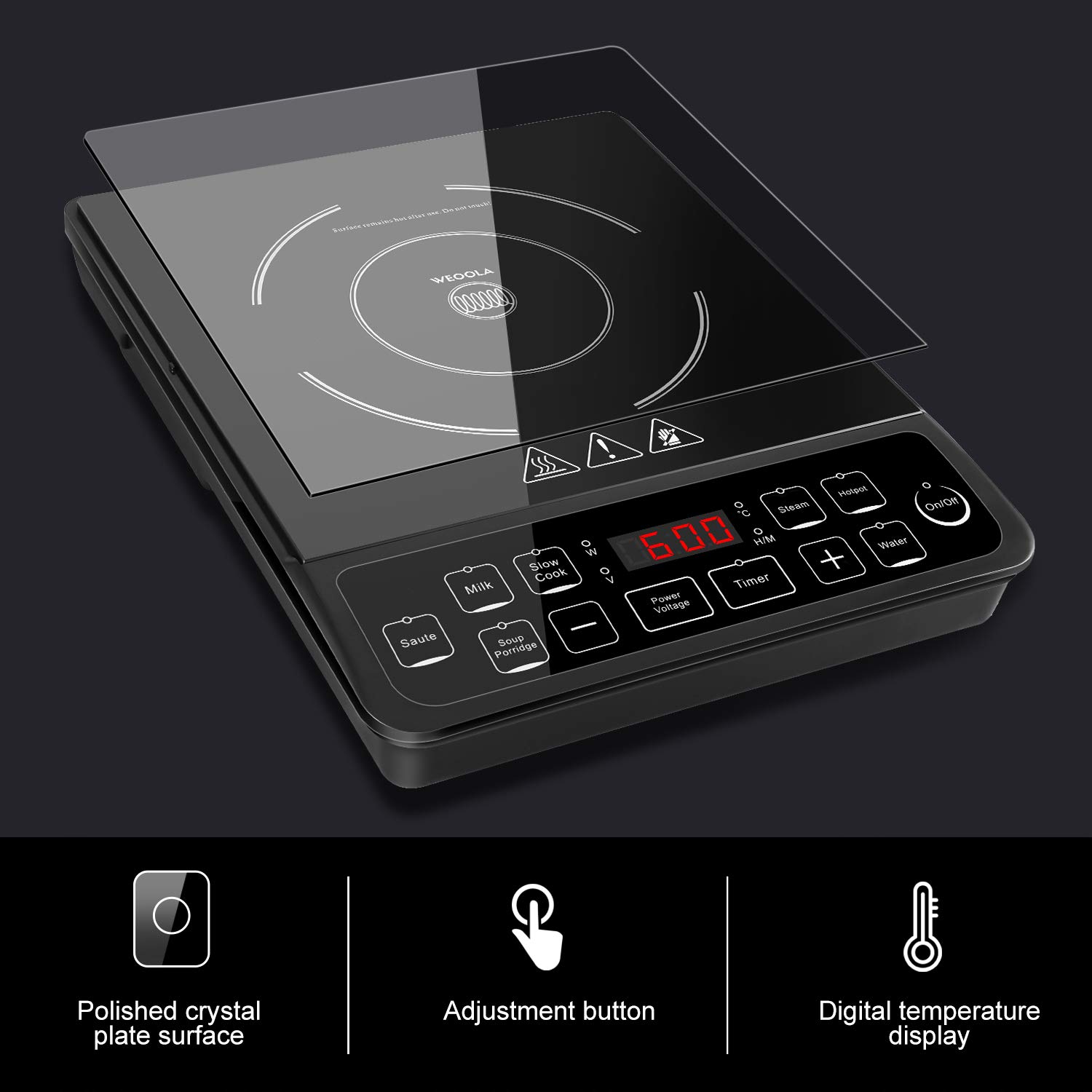 Portable Induction Cooktop 10\