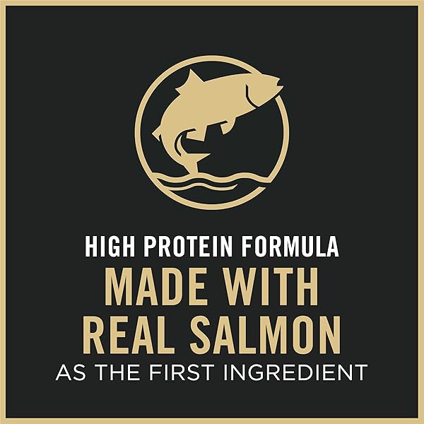 PURINA PRO PLAN HIGH PROTEIN CAT FOOD WITH PROBIOTICS FOR CATS, SALMON AND RICE FORMULA – 7 LB. BAG