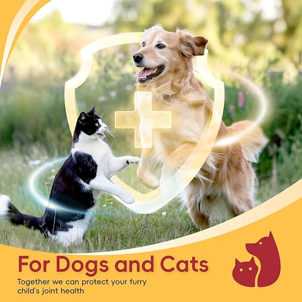HIP AND JOINT SUPPLEMENT FOR DOGS – 200 CHEWS – CHICKEN FLAVORE – JOINT HEALTH, IMMUNE BOOST, AND VITAMIN SUPPORT FOR DOGS AND CATS OF ALL AGES