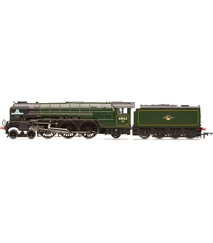 Amazon.com: Hornby TT:120 Model Railway TT3004M LNER Class A1 4-6