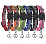 Reflective Cat Collar with Bell, Set of 6, Solid