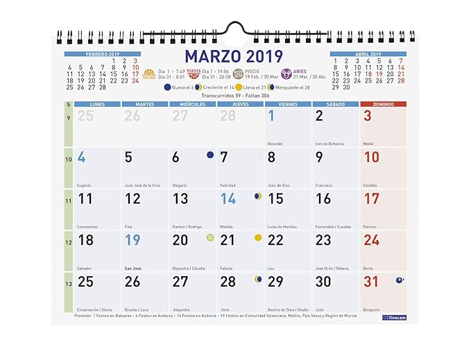 Finocam 781420019 - Calendario de pared 2019: Amazon.es: Oficina y papelería