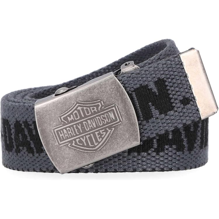 Harley-Davidson Men's Grunge H-D Logo Repeat Genuine Leather Belt