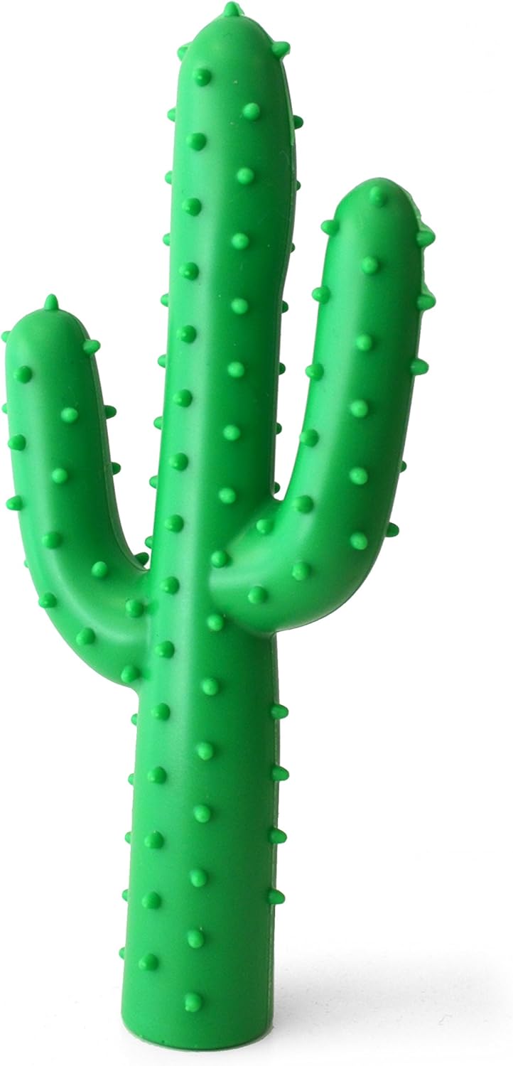 happy cactus sad cactus dog toy