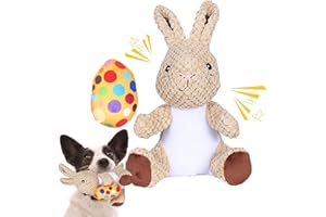 Wonfly Easter Dog Squeaker Toys (2 pcs), Rabbit & Eggs - 8.5in Plush Dog Toy with Squeaker, Cotton Material, Daily Entertainment & Relieve Anxiety, Chew Toy for Dogs, Not Water Resistant