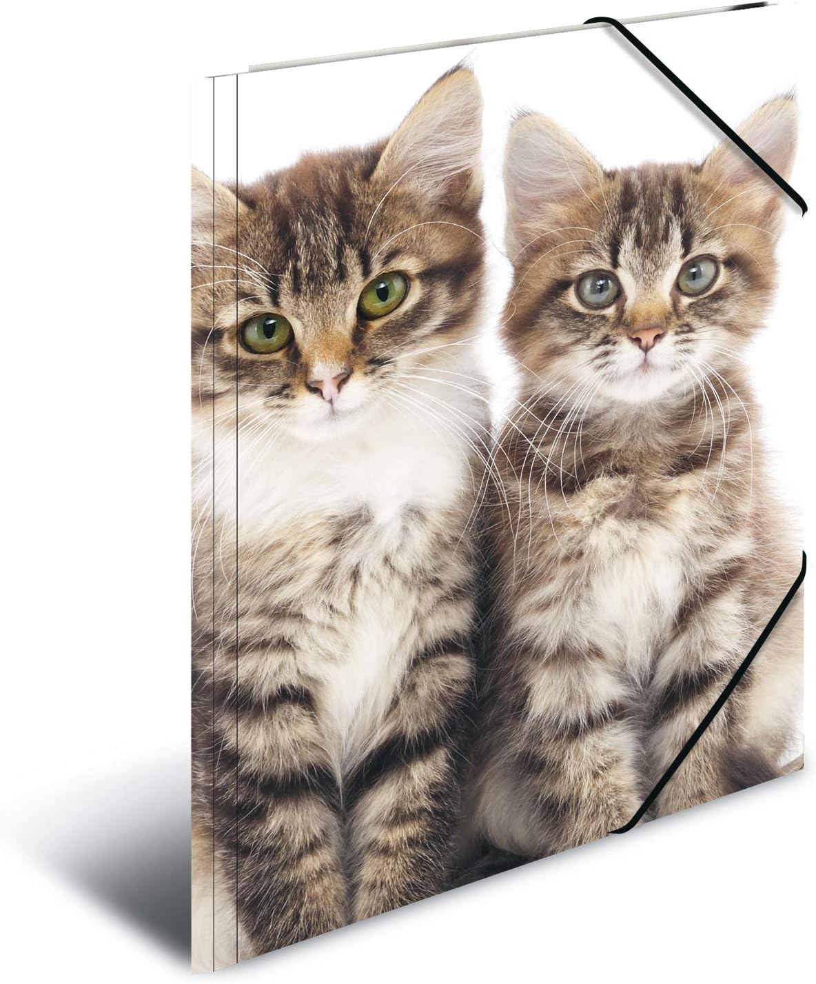 HERMA Elastic Folder Animals with Cats Motif, A3, Sturdy Plastic, with Inner Print, 1 Span Folder - Image 3