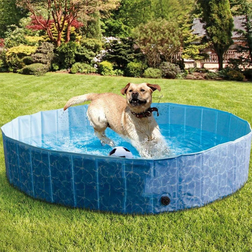 indoor dog pool