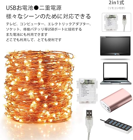 Disifenledイルミネーションライトusb 電池式二重電源ストリングライト5m50電球ジュエリーライト8パターン点滅点灯フェアリーライトタイマー 機能防水防塵仕様屋外室内ガーデンライト正月クリスマス飾り誕生日電飾 06ウォームホワイト10m2in1 クリスマスレッド通販