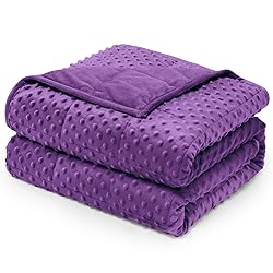 Wemore Minky Dot Weighted Blanket for Adults Queen
