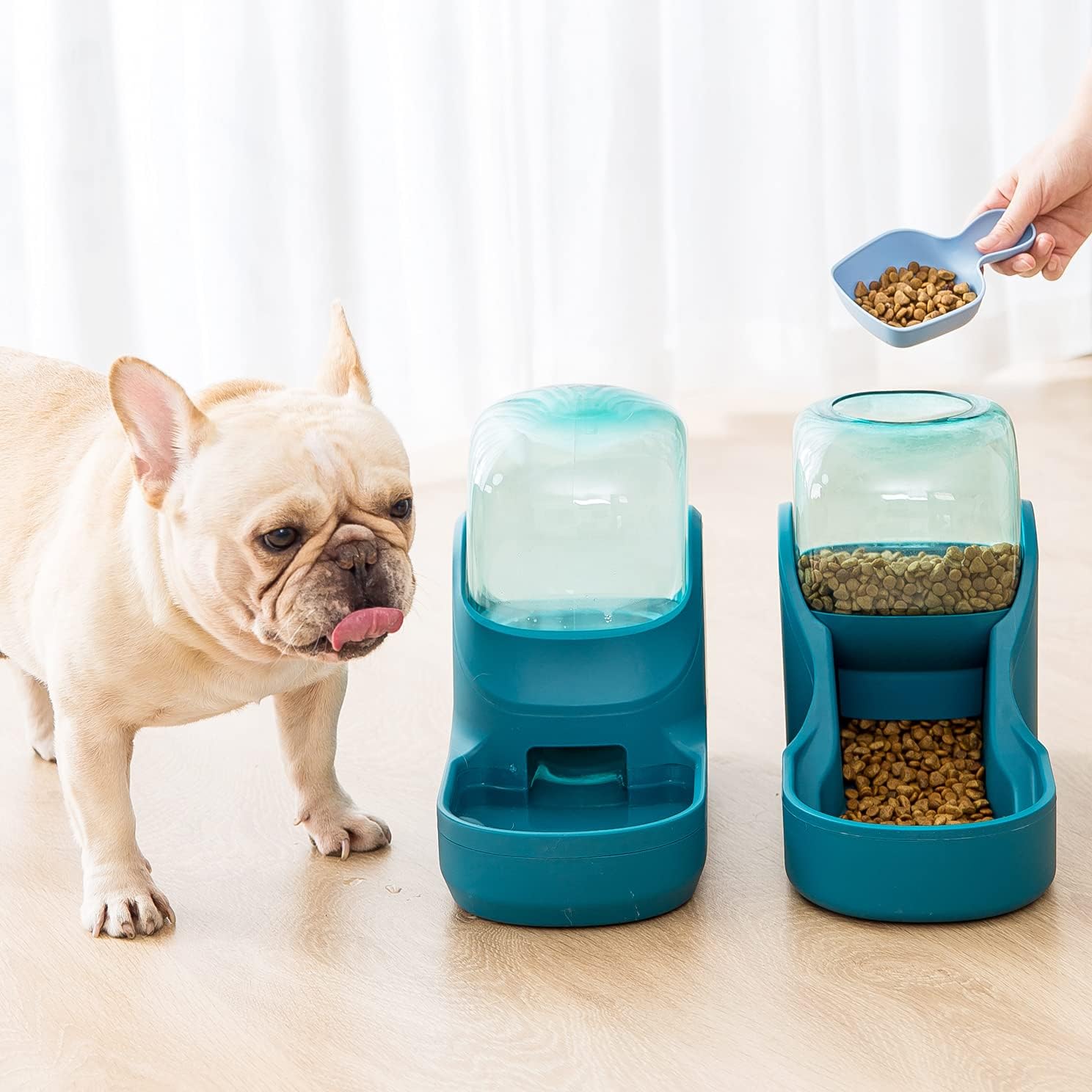 Kitchen & Dining : Pets Feeder Set Dog Feeder Cats Feeder with Water Dispenser Automatic Gravity Big Capacity Pets Feeder Auto for Small Medium Big Cats Dogs (Blue) : 