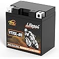 12 Volt Lithium Motorcycle Battery Powersport Battery LiFePO4 Engine Start Battery 3AH 250CCA with BMS 4000+Life Cycles YTX5L-BS