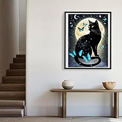 5D Black Cat Diamond Art Kits for Adult Beginners