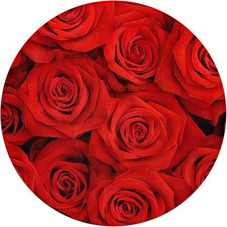 Amazon Co Jp 赤い薔薇 ラグマット おしゃれ ホットカーペット ラグ 洗えるじゅうたん 滑り止め付き記憶スポンジ ながもち カーペット 柔らか 防臭プラス カーペット ホーム キッチン