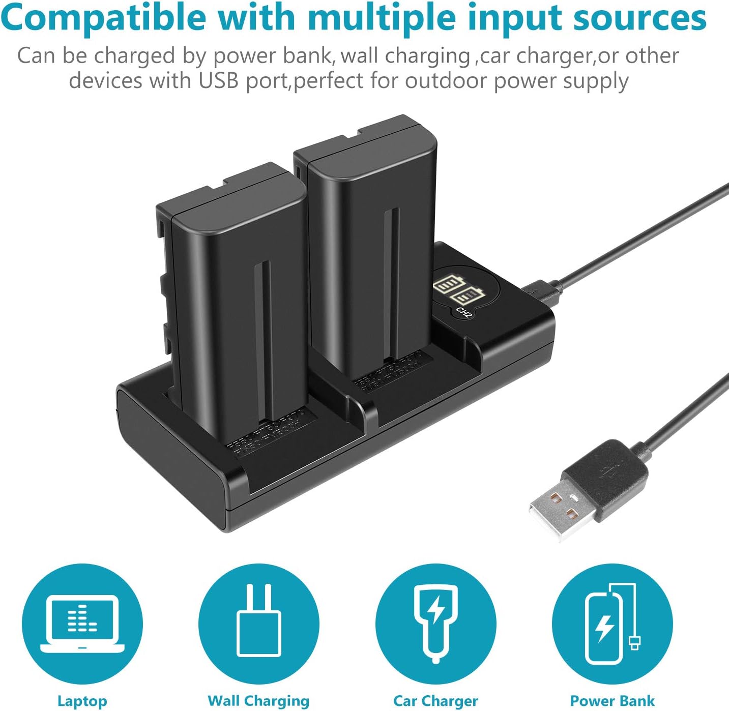 Neewer NP-F550 Battery Charger Set for Sony NP-F970 F750 F960 F530 F570 CCD-SC55 TR516 TR716 and More (2-Pack 2600 mAh Replacement Camera Batteries, Micro USB and Type-C Input Dual Charger): Home Audio & Theater