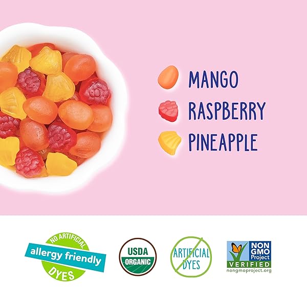 YUMEARTH ORGANIC TROPICAL FRUIT SNACKS, 0.7 OUNCE (PACK OF 10)