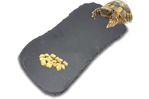 AWXZOM Slate Rocks for Reptiles, Reptile Basking Platform, Tortoise Food Slate Natural Rock Reptile Food Bowl Tortoise Feeding Dish
