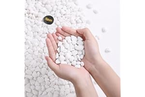 SIDONG 5 LB White River Rocks, 0.3-0.5 Inches Matte Pebbles for Indoor Plants, Aquarium Rocks Used in Fish Tank, Decorative Stones for Plants, Vases, Home Décor, Crafting, Garden Landscaping