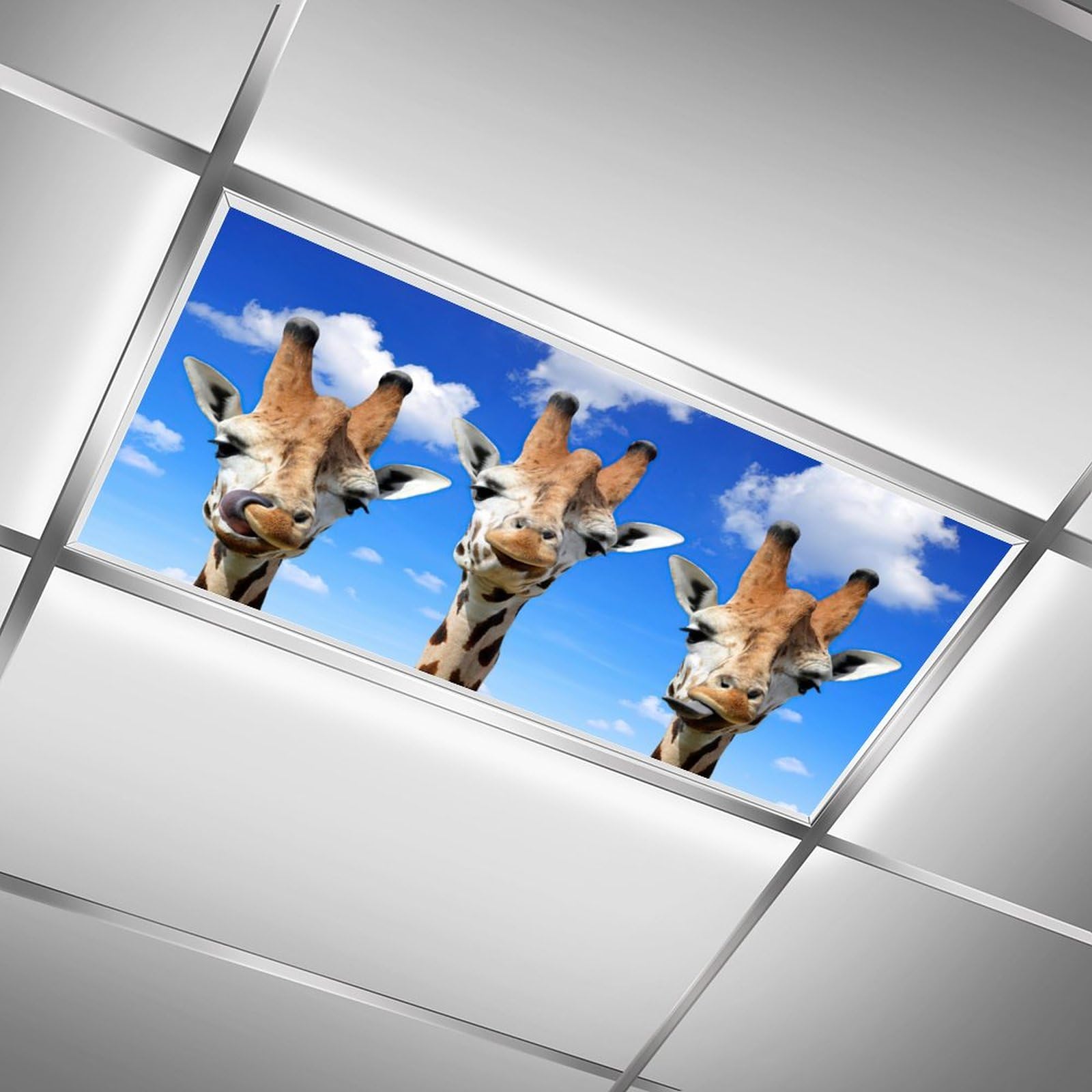 Photo 1 of Fluorescent Light Covers for Classroom Ceiling Lights Magnetic Light Covers,Fluorescent Light Filters for School Home Office Drop Ceiling Lamp Decor Light Filters 4x2Feet(Giraffe)