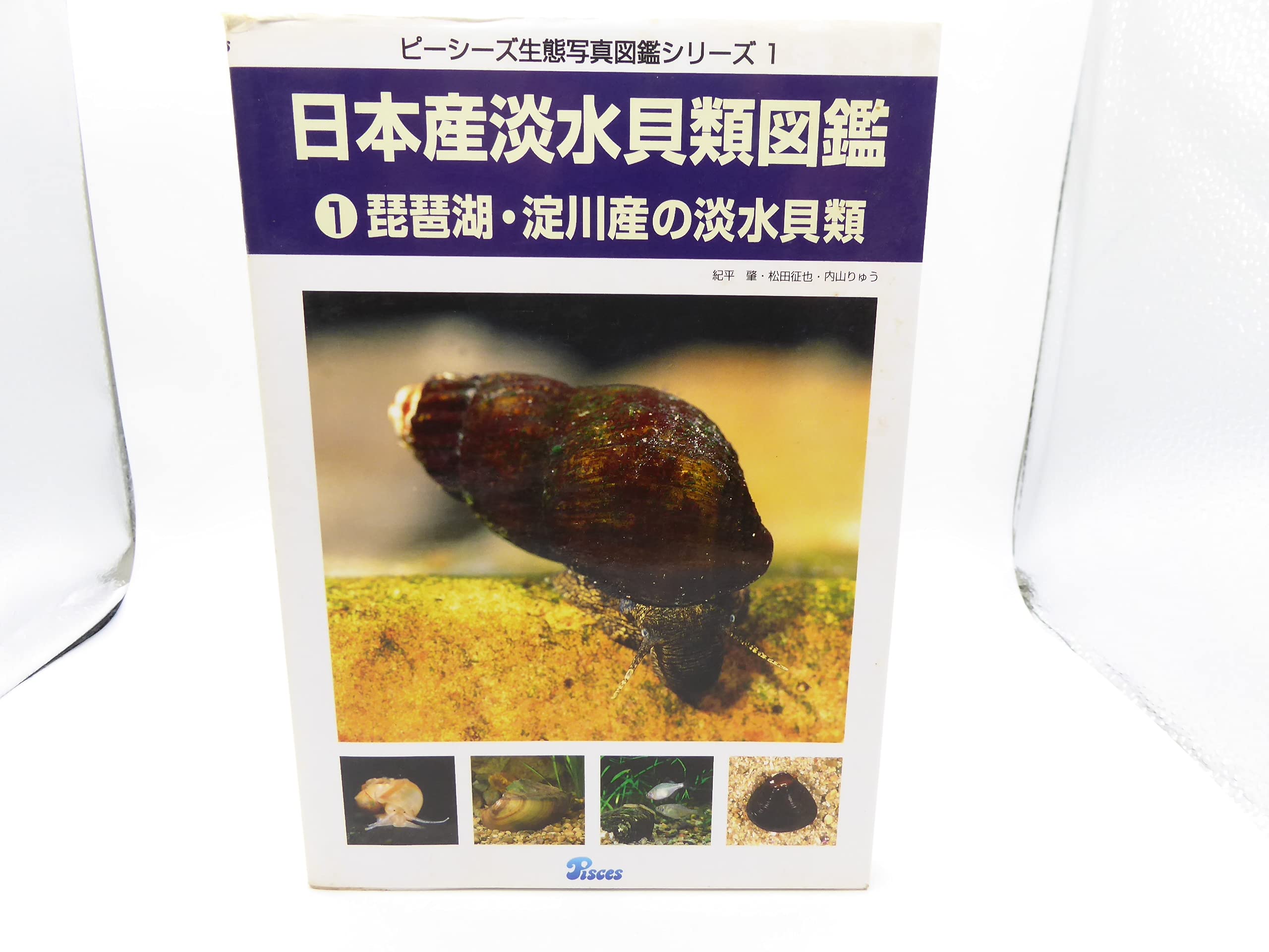日本産淡水貝類図鑑 1 琵琶湖 淀川産の淡水貝類 ピーシーズ生態写真図鑑シリーズ 肇 紀平 りゅう 内山 征也 松田 本 通販 Amazon