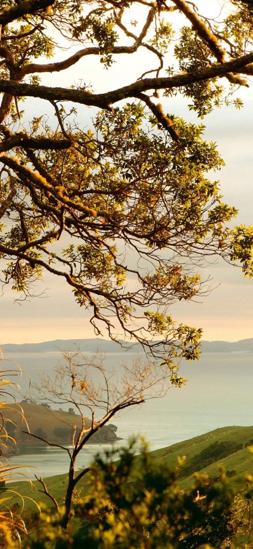 PeelitStickit, Beautiful Nature Wall Murals, ID-3303, vinyl