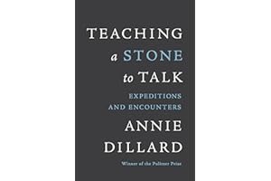 Teaching a Stone to Talk: Expeditions and Encounters