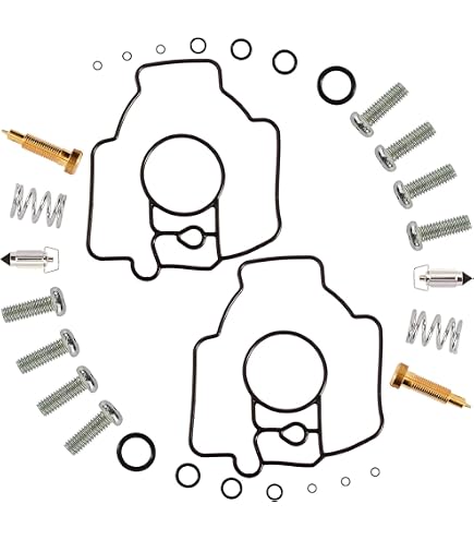 Vergaser-Reparatursatz Für Kohler Command Motoren – Passt Für CH18 Bis CH25 & CH620 Bis CH740