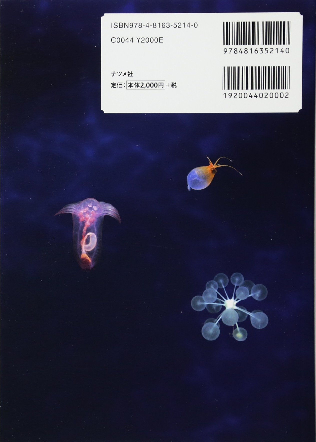 オールカラー 深海と深海生物 美しき神秘の世界 独立行政法人海洋研究開発機構 Jamstec 本 通販 Amazon