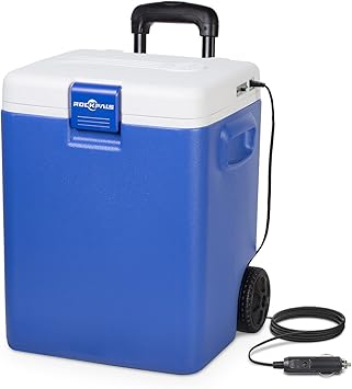 electric cooler with wheels