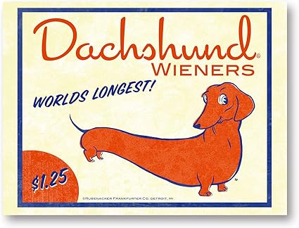world's longest dachshund