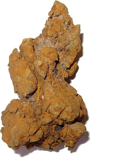 Amazon De Satincrystals Coprolite Cluster 6 3 Cm Premium Dinosaurier Tropfen Poo Echtes Fossil