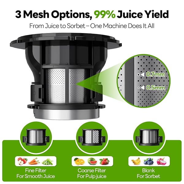 ECOSELF JUICER MACHINES WITH 3 FILTERS (FOR JUICE/SORBET/NUT MILK), SLOW MASTICATING JUICER WITH 6.0″ WIDE MOUTH HOPPER FOR VEGETABLES & FRUITS, SELF FEEDING, JUICER FOR FAMILY PARTY, WITH PUSHER