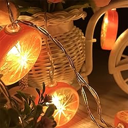 LEKIBOP Fruit String Lights Battery Powered Indoor