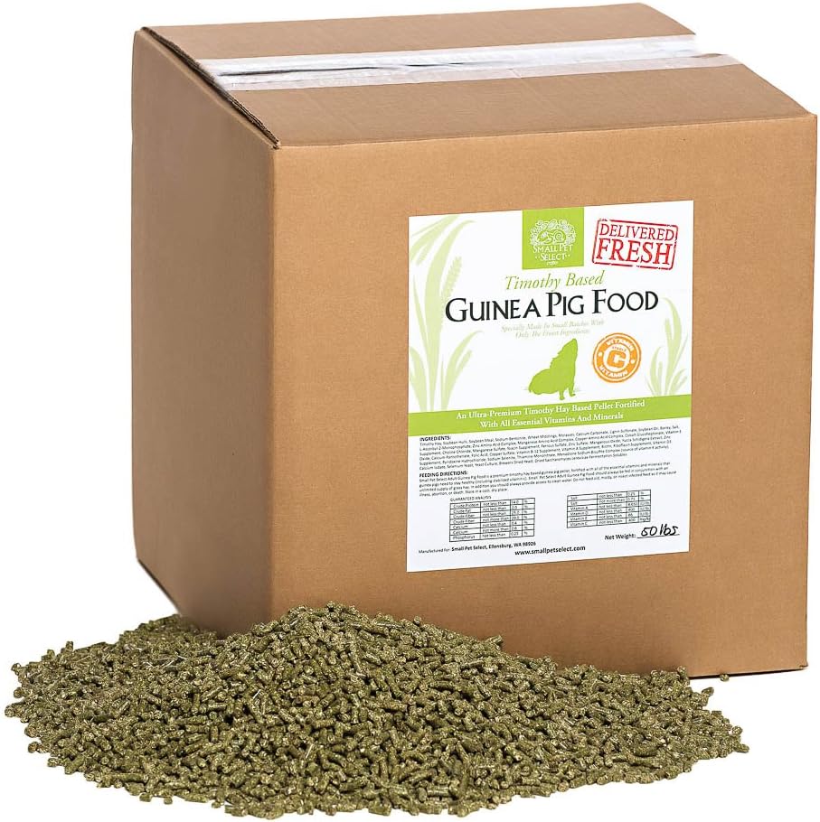 aquarium decorations online