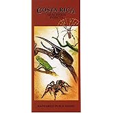Costa Rica Arachnids & Insects Wildlife Guide (Laminated Foldout Pocket Field Guide) (English and Spanish Edition)