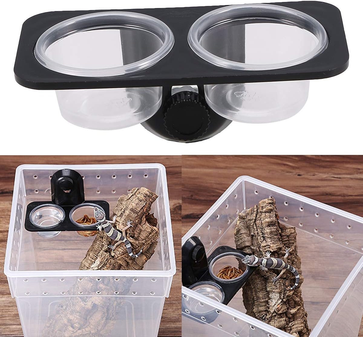 Willlly Gecko Food Bar Small Gecko Food Cups Chic Reptile Feeder for