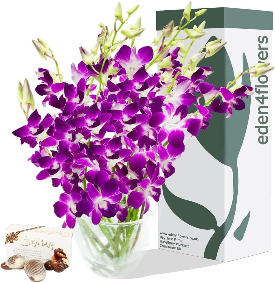 Eden4flowers BURMA CUT DENDROBIUM ORCHIDS BOUQUET & CHOCOLATES - Birthday Flowers Thank You Flowers