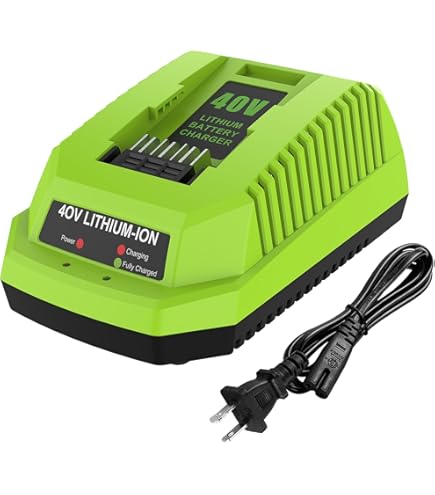 SYHO！ Amazon.com: Greenworks 40V 8A Dual Port Rapid Charger