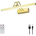 RAIFOOLLY Picture Light,Wireless Art Lights for Paintings,13" Battery Wall Light,Remote Control Accent Lighting with Timer and Dimmable for Frame,Portrait,Artwork-Gold