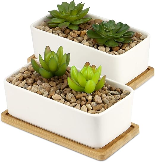 Ceramic Plant Pot & Bamboo Base Indoor & Outdoor Succulent Planter