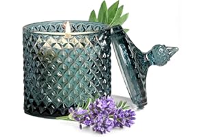 PPIFAS Citrus Herbaceous & Lavendery Sage Scented Candles,Gifts for Men Women,Large Jar Candle for Home Scented, Aromatherapy