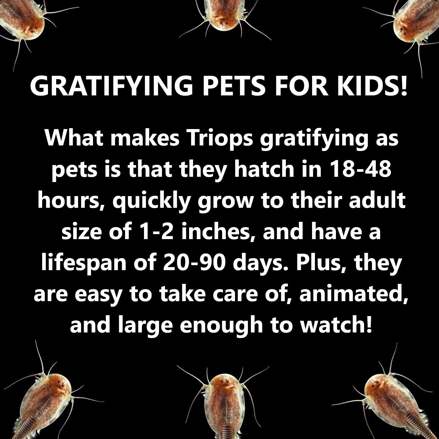 Triops Kit, Contains Eggs, Aquarium, Food, Instructions and Helpful Hints to Hatch and Grow Your Own Prehistoric Creatures, Fun Educational Toy for Kids