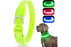 Chalklit Light Up LED Dog Collar, USB Rechargeable Waterproof Reflective Adjustable Flashing Dog Collar Lighted, Glowing in T