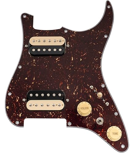 EMG KH21 Kirk Hammett Active Pickup Set with Pickguard : Amazon.ca