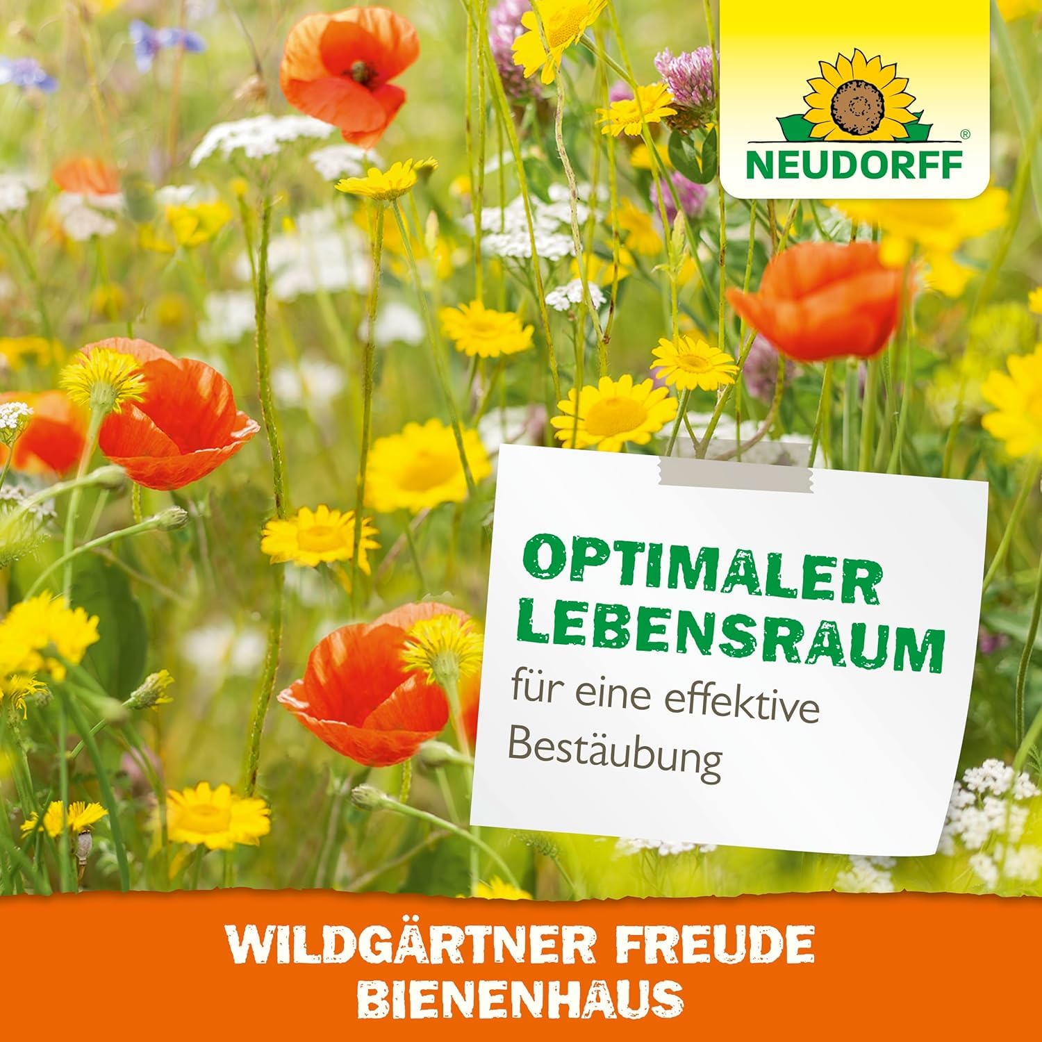 Neudorff Wildgärtner Freude Bienenhaus – Handgefertigtes Bienenhotel. Nisthilfe für Wildbienen zum Aufhängen und Aufstellen. Wetterfest und unbehandelt, 1 Stück 6