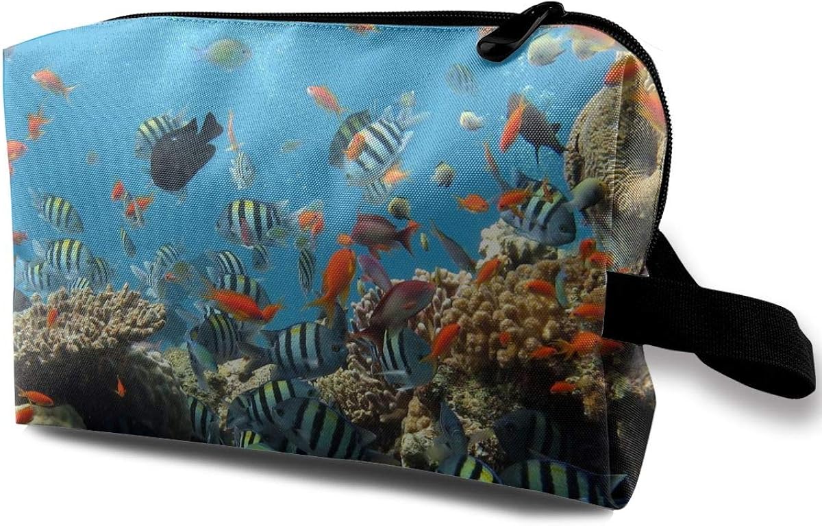 Amazon.com: Travel Makeup Cosmetic Bag Brush Pouch ...