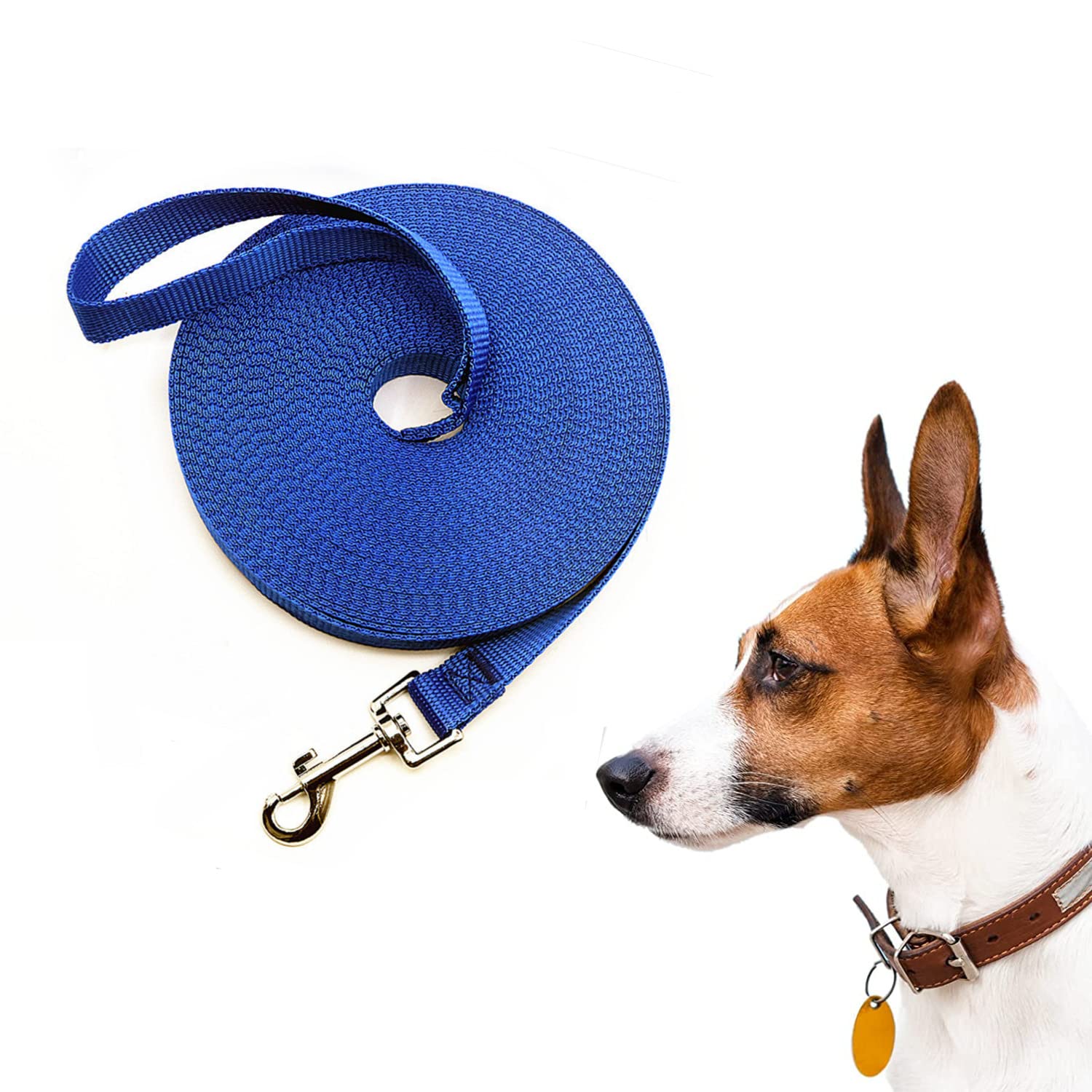 LATRAT Dog Training Lead 0.36 - 30 m Long Lead for Small to Large Dogs (Blue, 10 m x 1.5 cm 32 ft)
