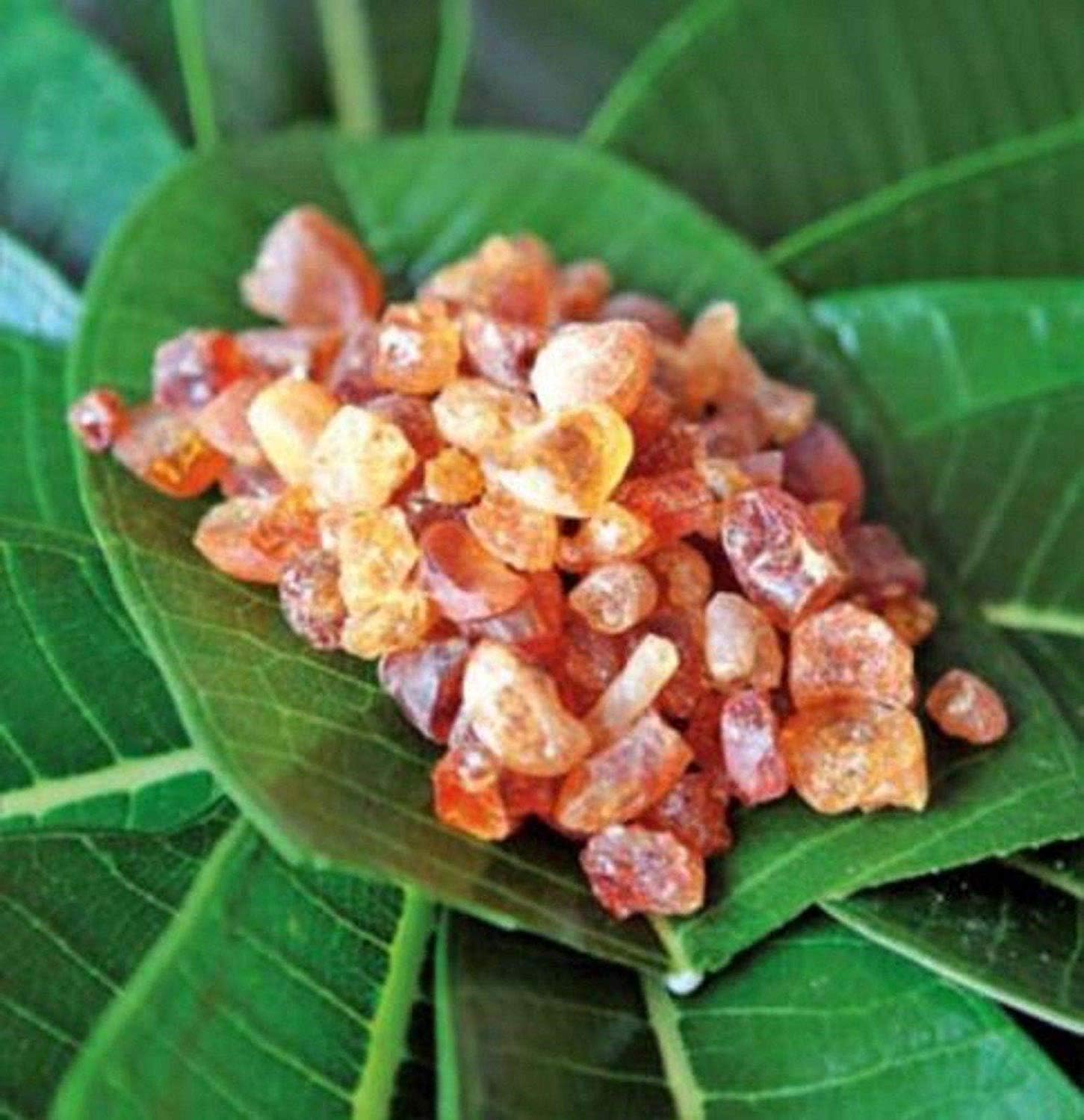 babul Gond,Gum/Thorn mimosa/gabur bakar, 100gm Indian Raw